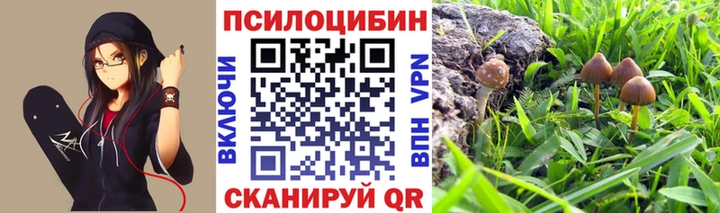 сколько стоит  Красноуральск  omg   Псилоцибиновые грибы ЛСД 